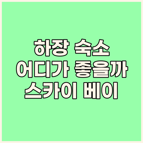 하장 여행 최적의 숙소는 어디 스카이..