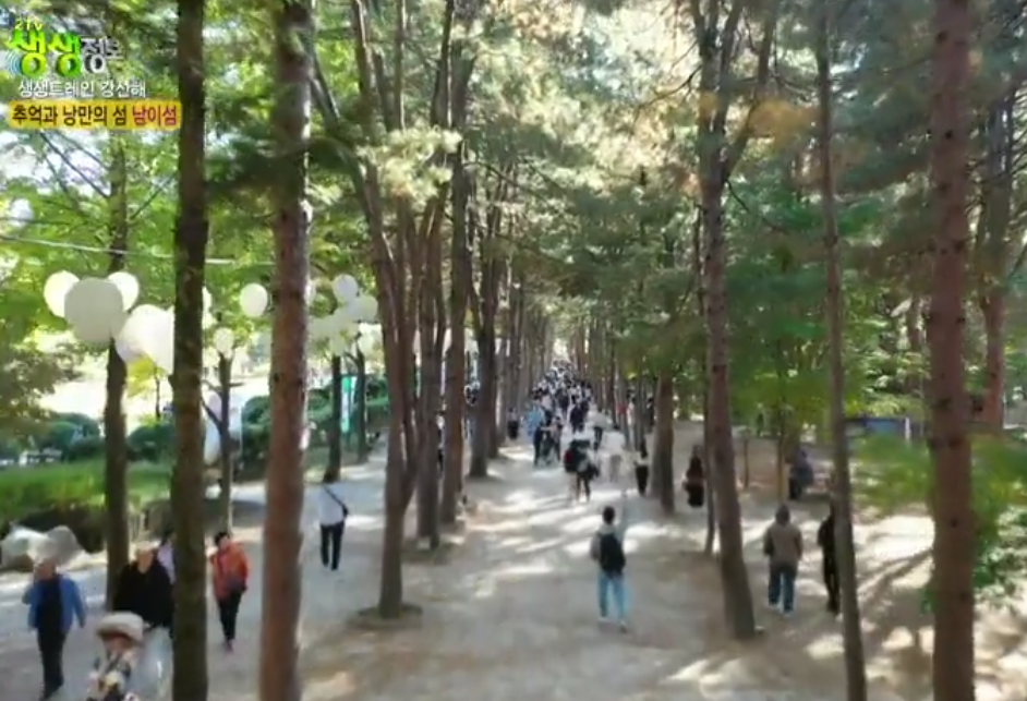 남이섬