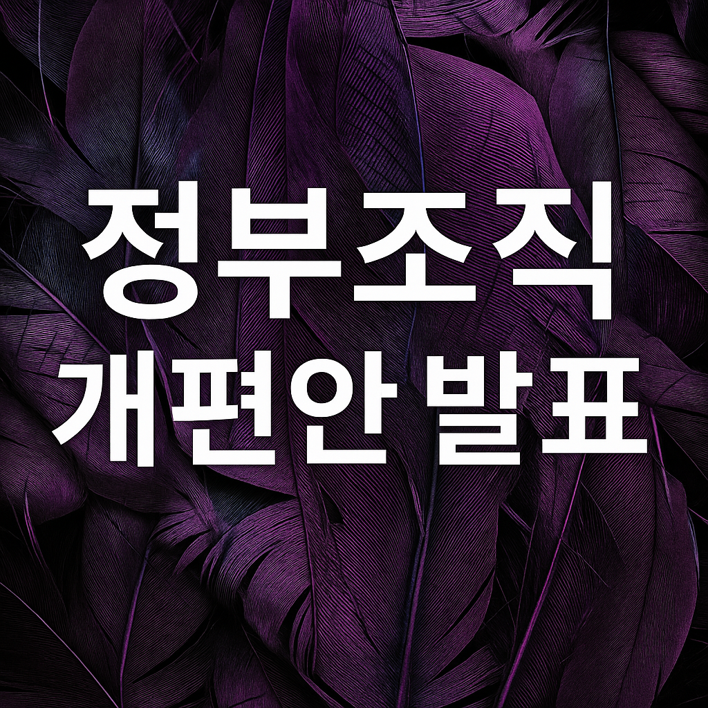 정부조직 개편안 발표