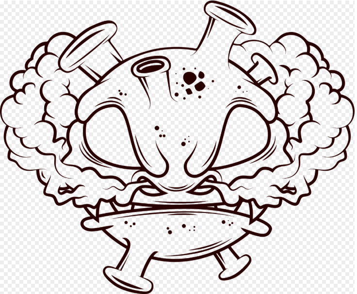 니파 바이러스란?