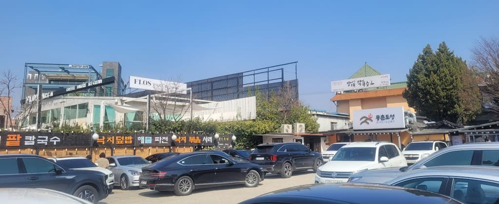 2026년 3월 손칼국수 낚지볶음 전문 몽촌토성 외관