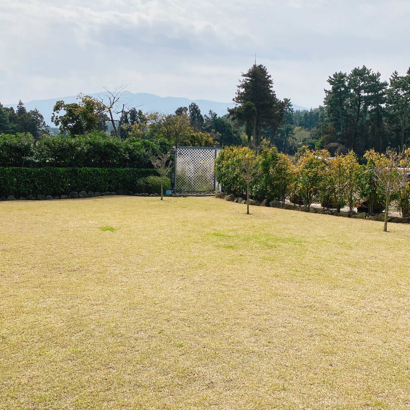 제주 정실마을 월정사 브런치 맛집 블리스찬 카페