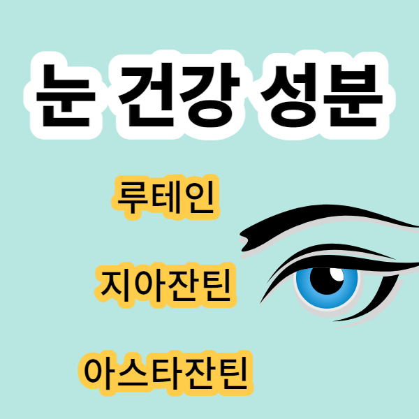 눈건강 루테인