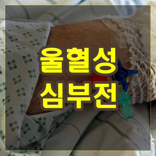 울혈성 심부전