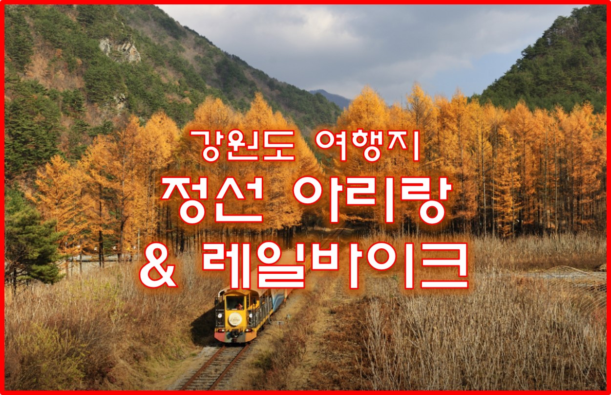 정선 레일바이크