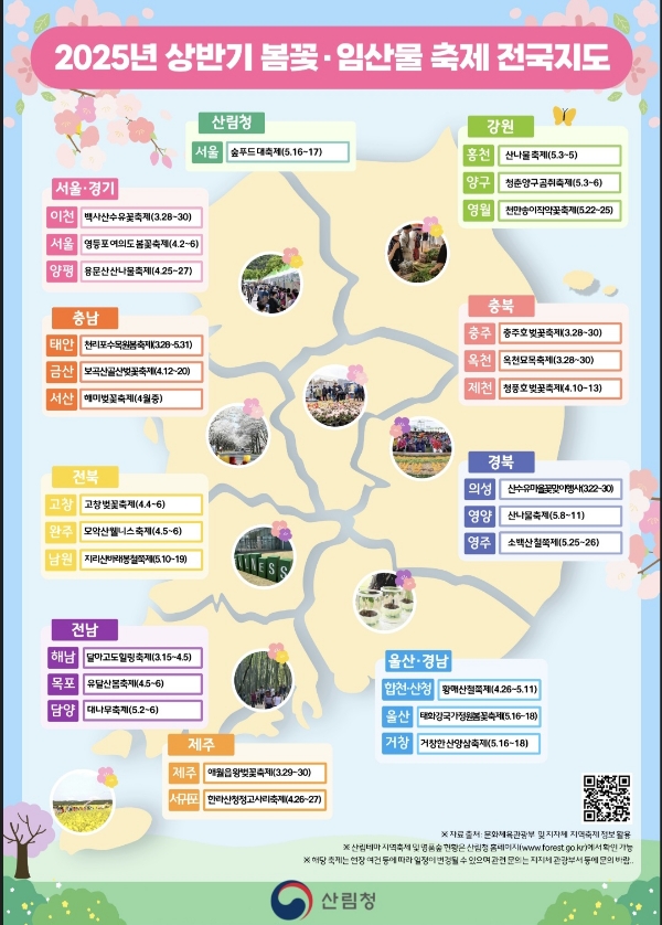 봄 축제 여행 가이드