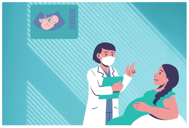 서울 강남 지역 (서초구) 산부인과