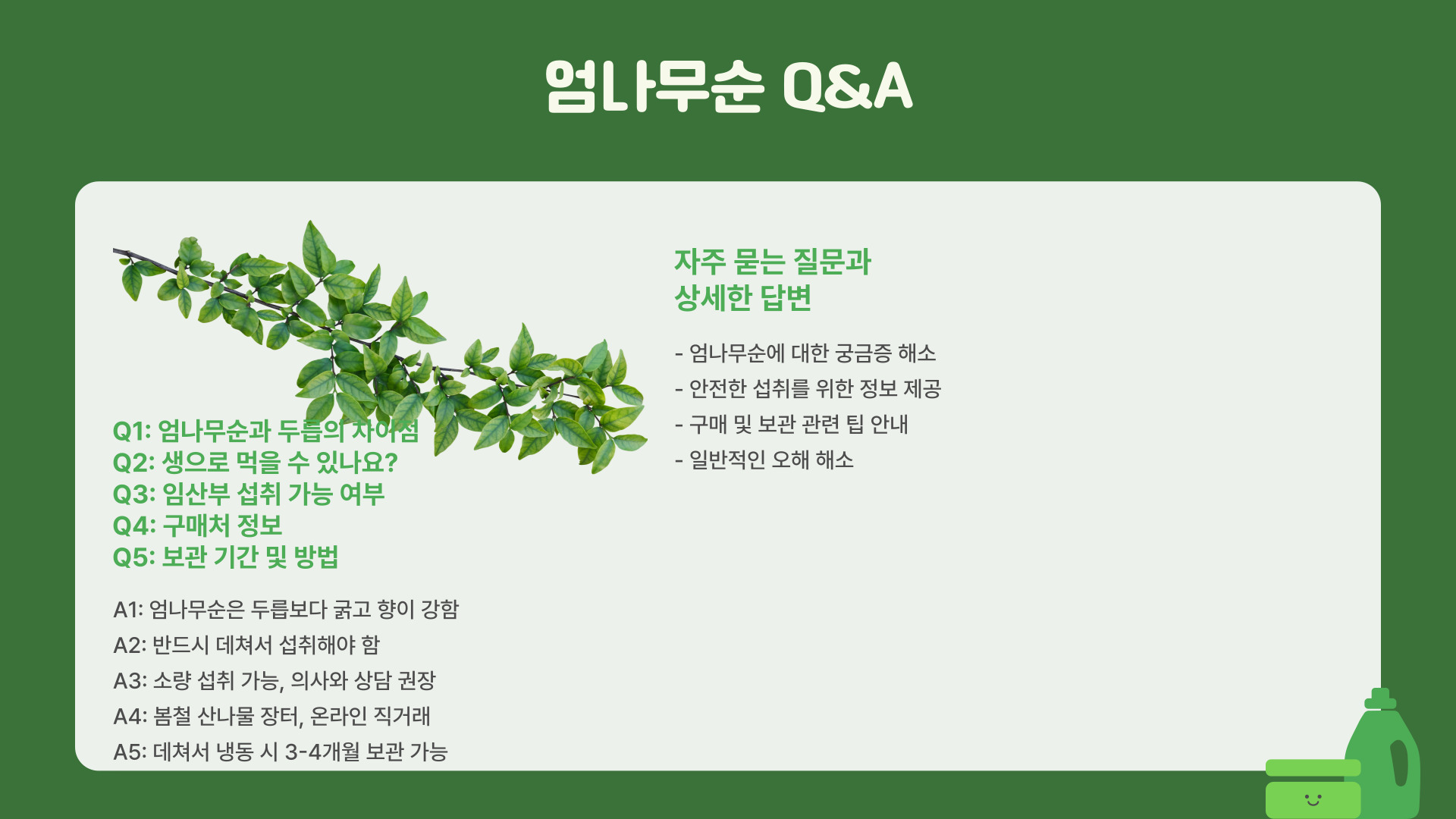 엄나무순