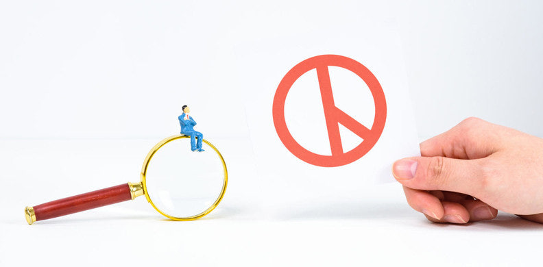 6월 3일 대선 확정