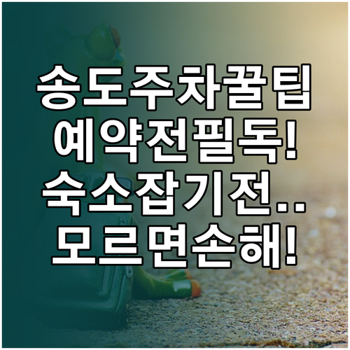 송도컨벤시아 이용 주차 정보와 인근 ..