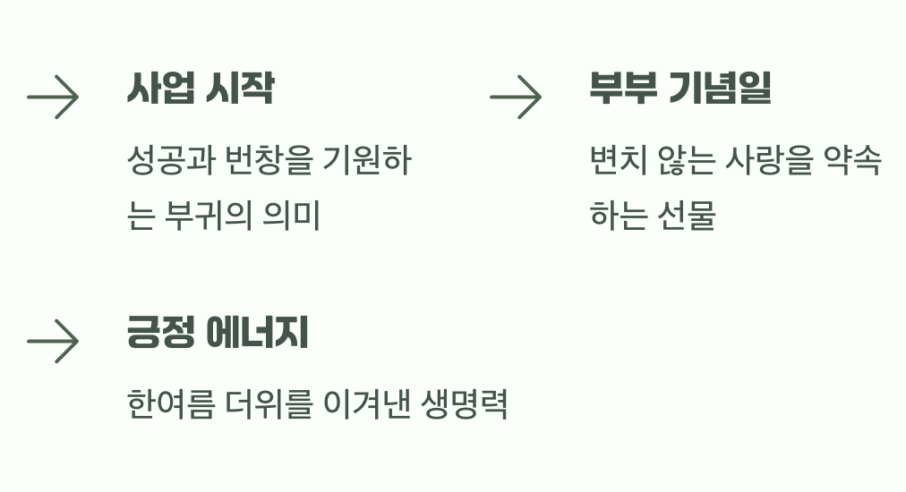 오늘날 우리 곁의 백일홍