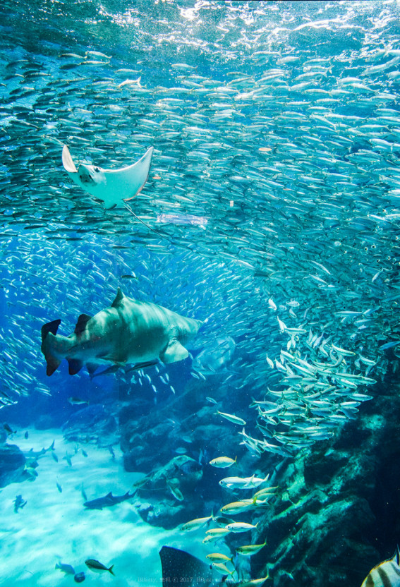 일본 후쿠오카 자유여행 TOP 9 : 벳푸 여행&#44; 아이와 가볼만한 곳