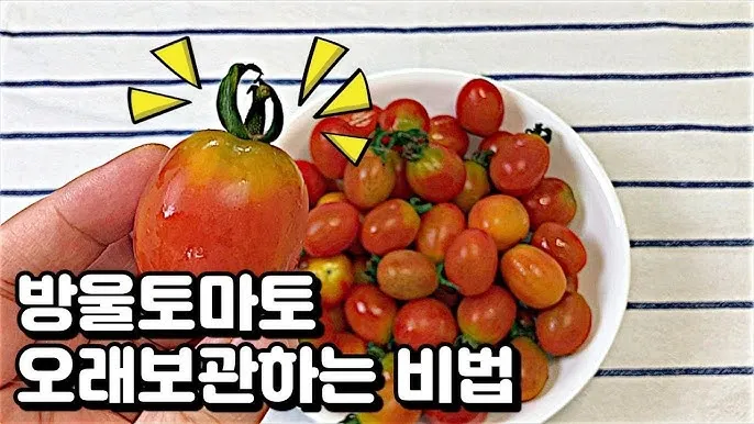 2주 이상 방울토마토 보관 시 꿀팁 오래 보관_7