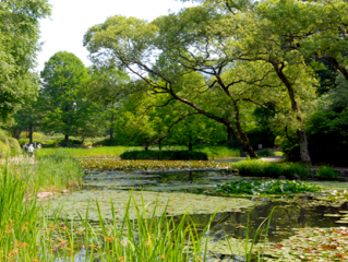 국립수목원 예약
