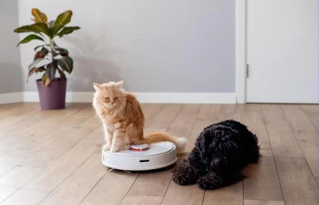 먼지 한 톨도 놓치지 않는다! 로봇청소기 TOP 5 추천