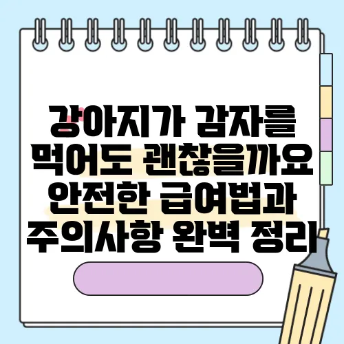 강아지가 감자를 먹어도 괜찮을까요 안전한 급여법과 주의사항 완벽 정리