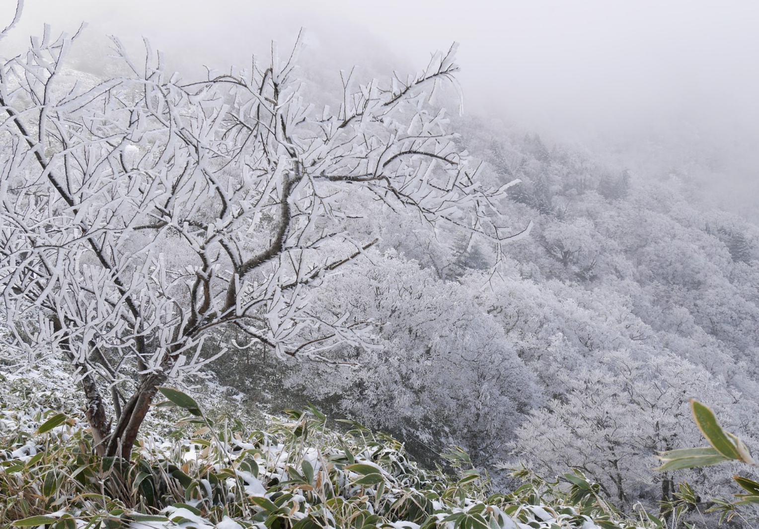 한파 대비 필수 아이템과 따뜻한 겨울 나기