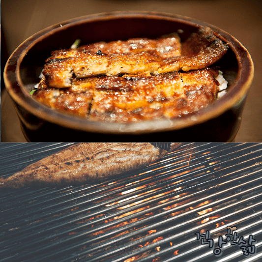 장어 효능 부작용