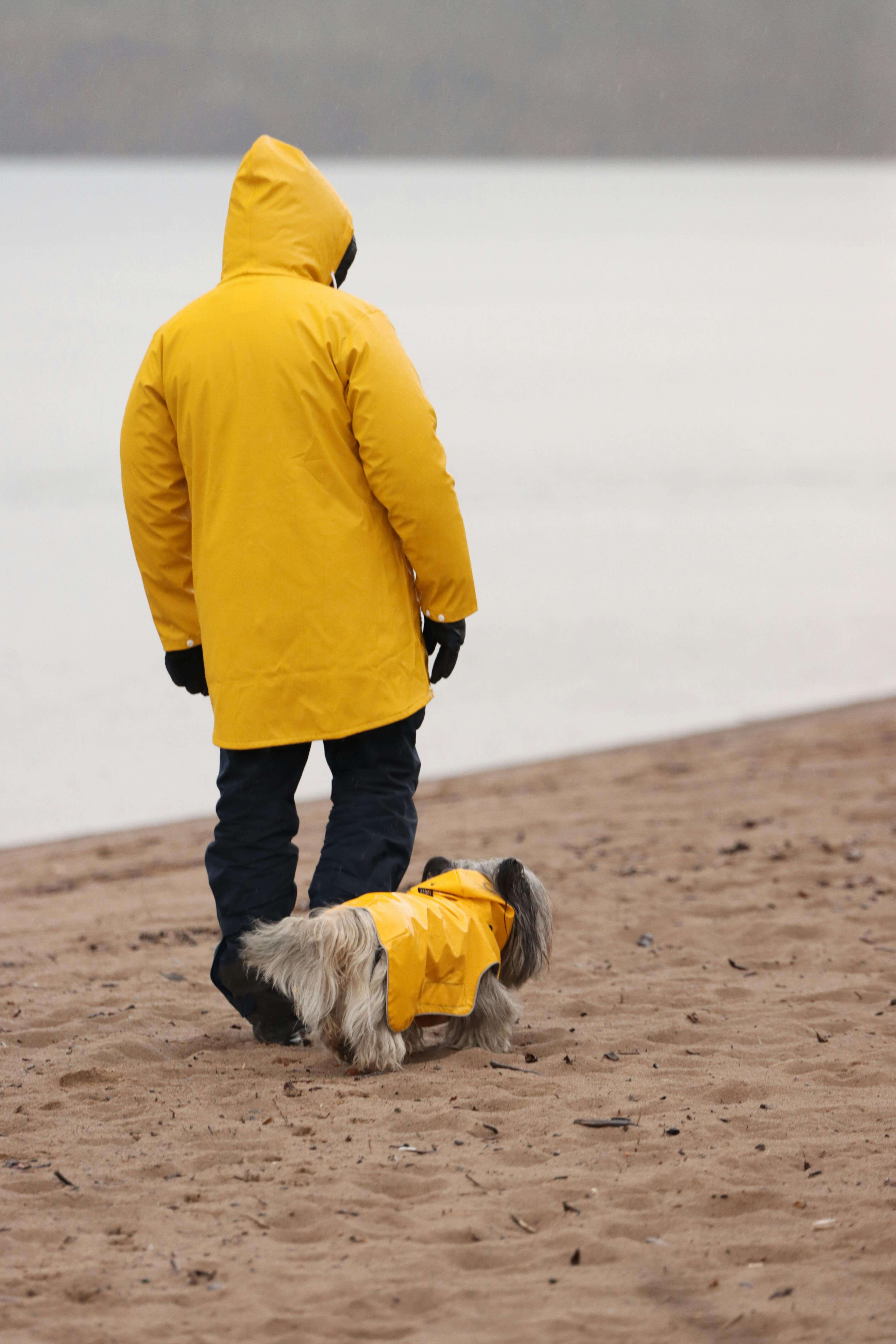 겨울철 서울의 재미 ; 2024 서울광장 스케이트 예약 방법, 이용시간, 요금