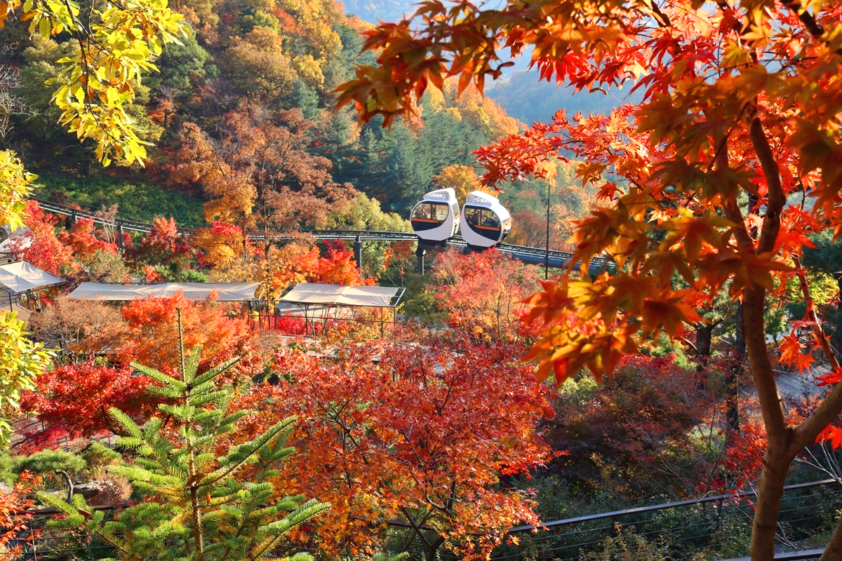 화담숲 모노레일