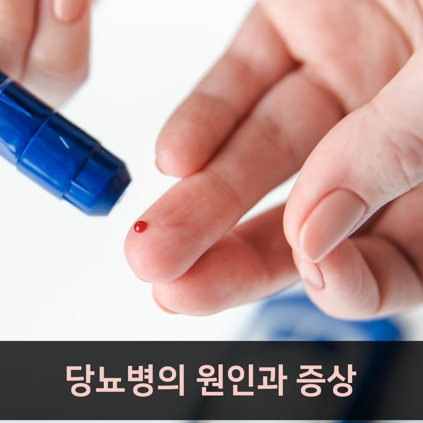 당뇨병의 원인과 증상: 쉽게 이해하는 관리 방법