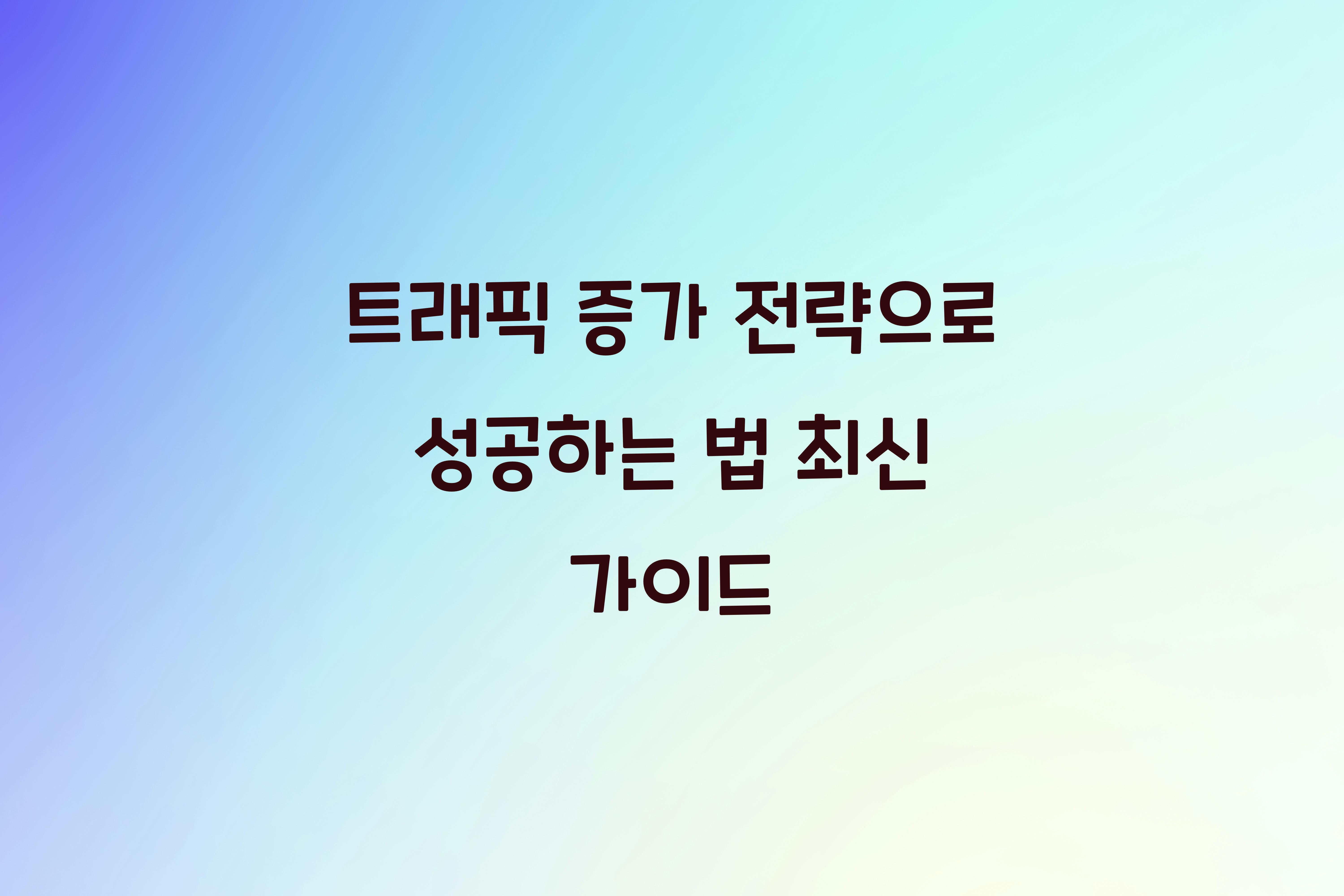 트래픽 증가 전략