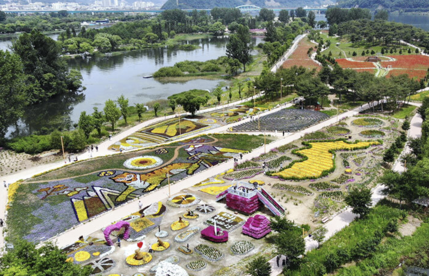 자라섬 꽃 축제 전경