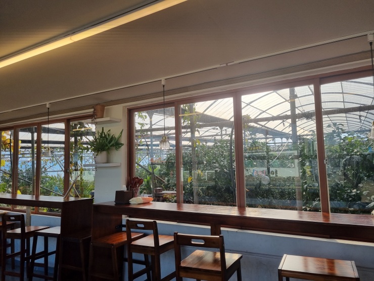 귤-하우스가-보이는-식당-내부