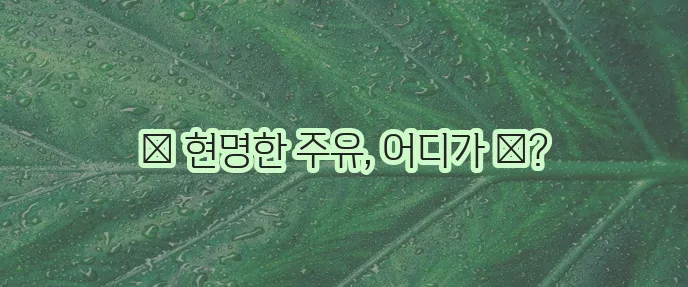 주유소 가격 비교 (근처 주유소, 알뜰)