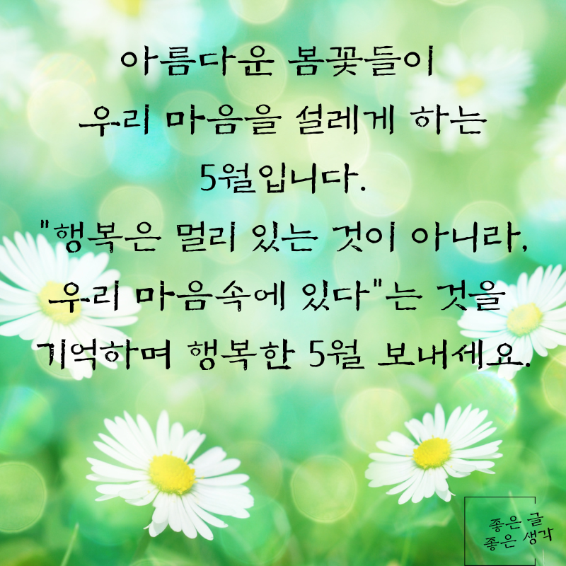 5월 인사말 문구 이미지 모음집 카톡 문자 메세지