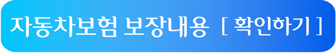 자동차보험 보장내용