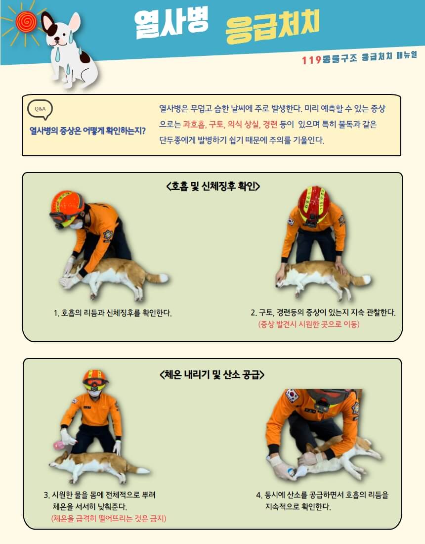 열사병 응급처치 메뉴얼
