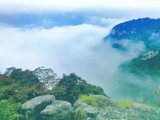 루산구름바다