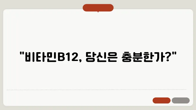 비타민B12 하루 권장량