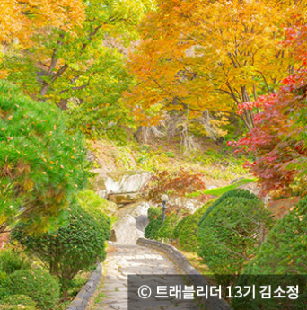 단풍명소