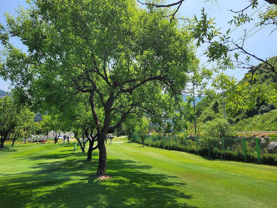 경기도 가평 청심빌리지 실버타운 파크골프장