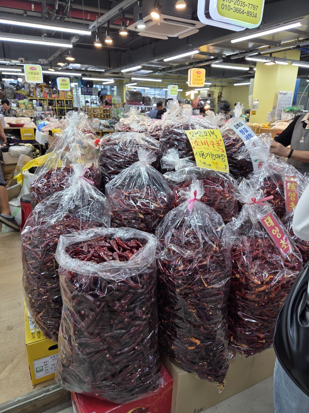 강화도 1박2일 효도여행