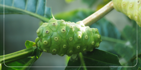 육군복지포털 체계 휴드림 홈페이지23