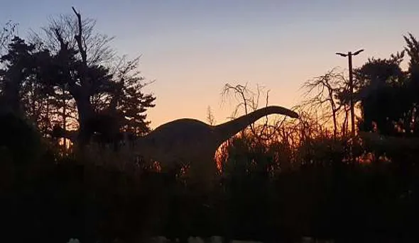 안면도 쥬라기 박물관