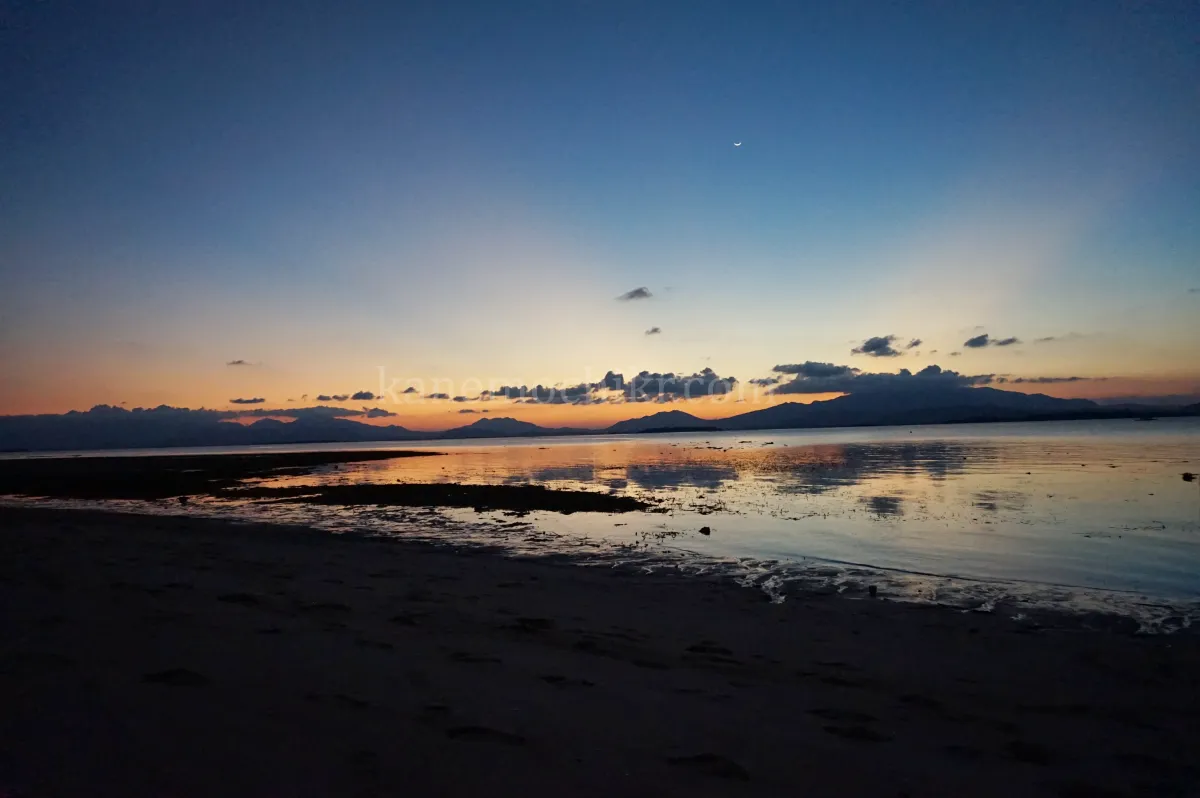 도스팔마스리조트-야경