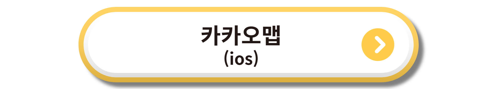 카카오맵 ios