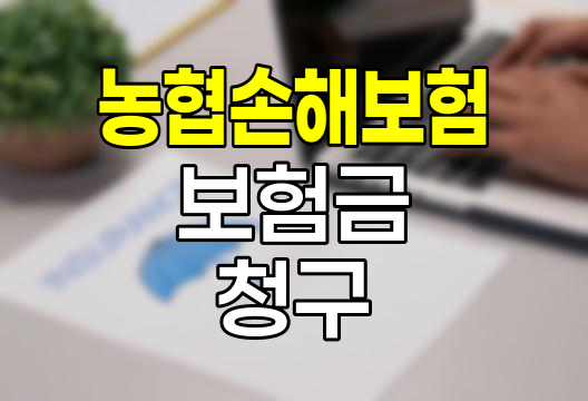 농협손해보험 보험금 청구 프로세스 완벽 해설
