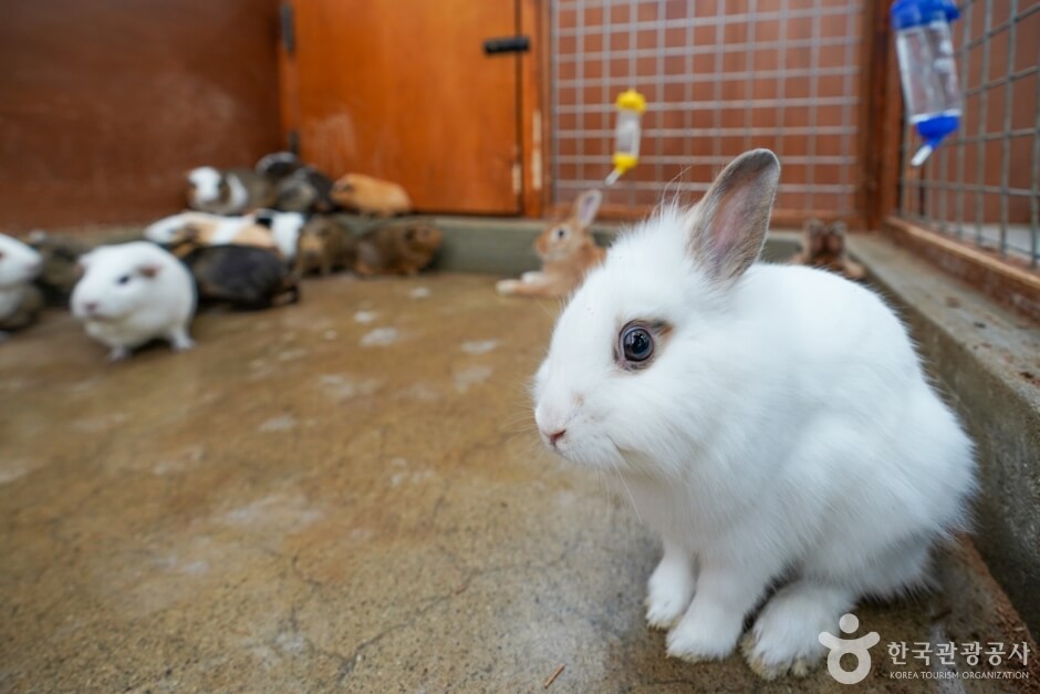 경산 가볼만한곳 베스트 10