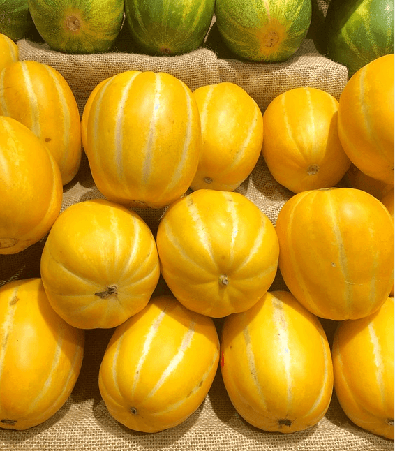 참외 효능에 참외 사진과 그 밖에 사진들 - 2