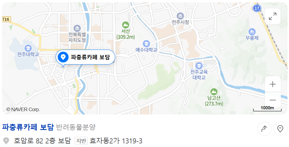 파충류카페 지도