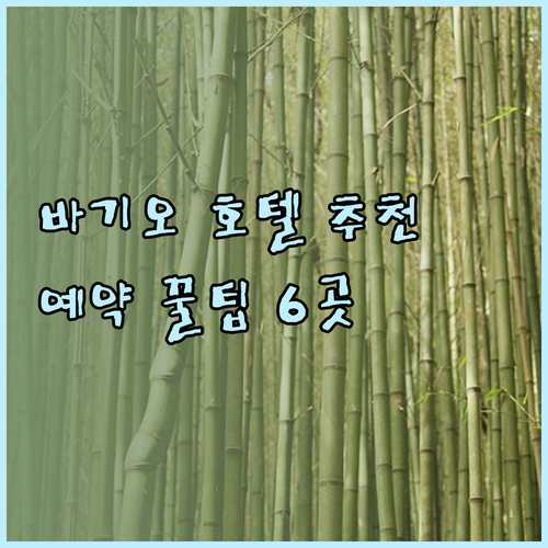 바기오 호텔 예약 고민 해결 6곳 특