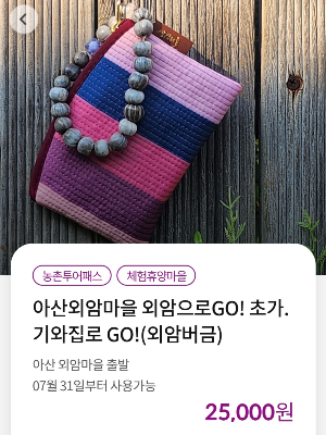 농촌투어패스 상품