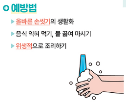 여름철 살모넬라균 감염증 예방방법