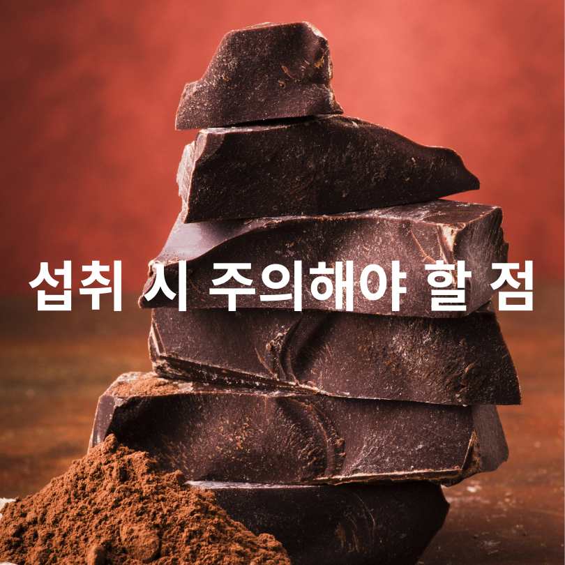 다크초콜릿 효능