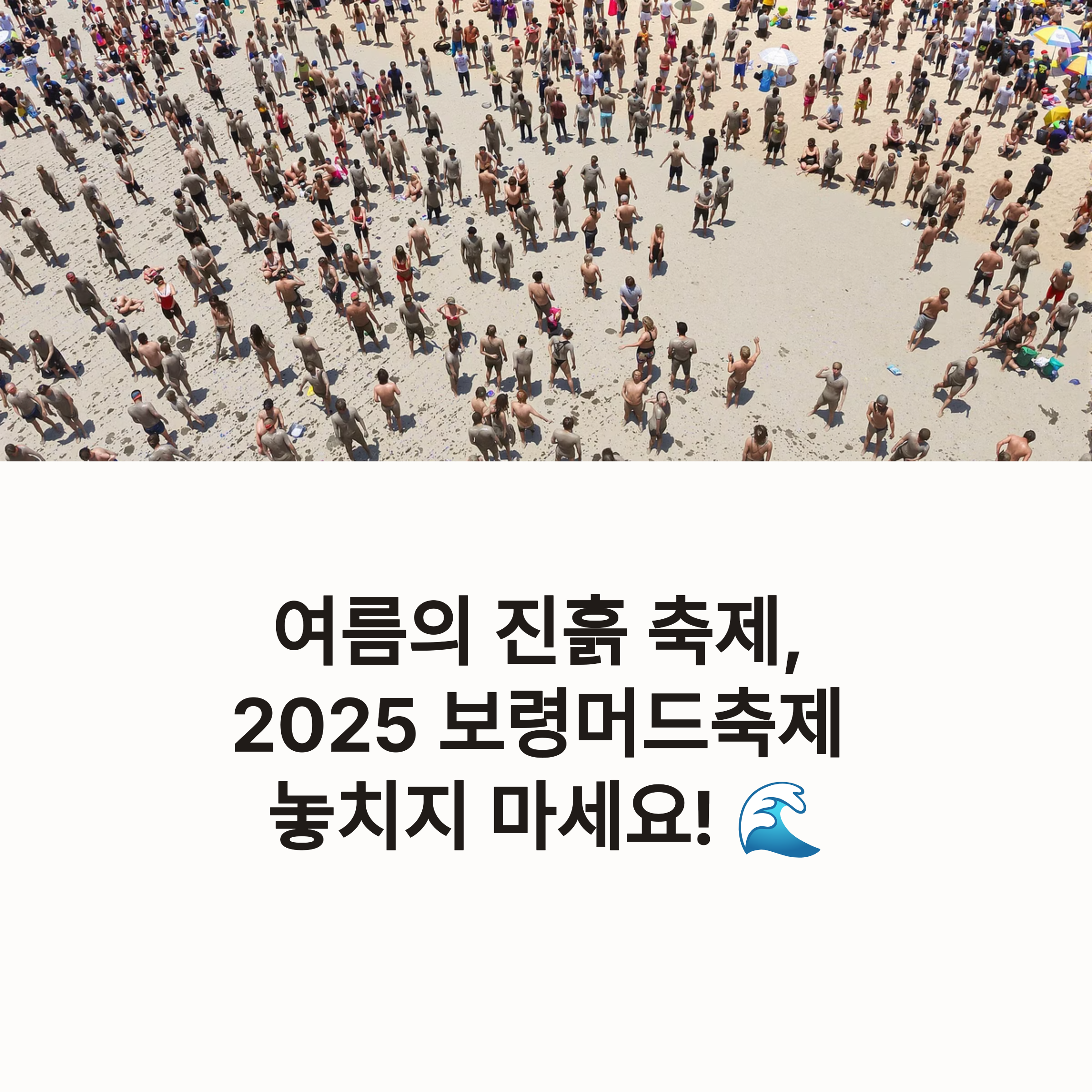 2025년 보령머드축제: 일정, 프로그램, 입장료, 관람 포인트 완벽 정리